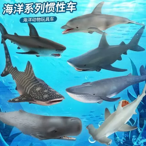 鲨鱼悬赏极速版