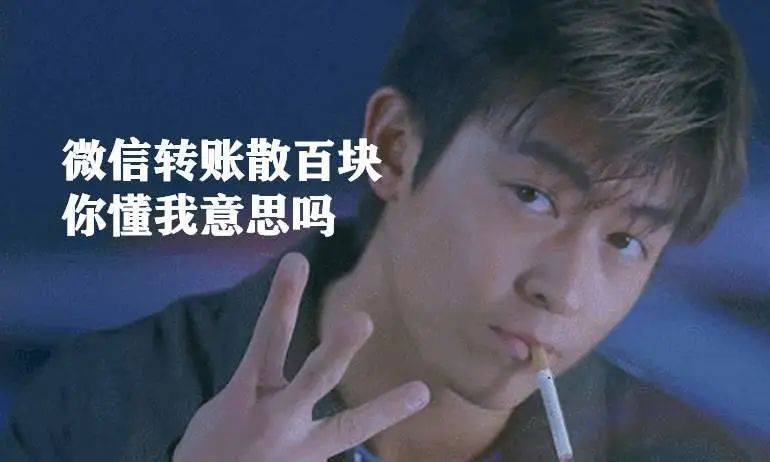 微信转账300块,帮我回到香港,你懂我意思吗?表情包