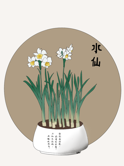 水仙漫画是什么意思啊