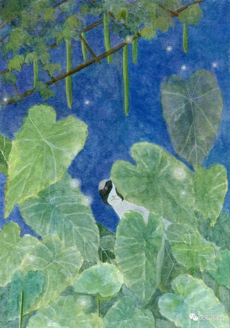 飞廉小说