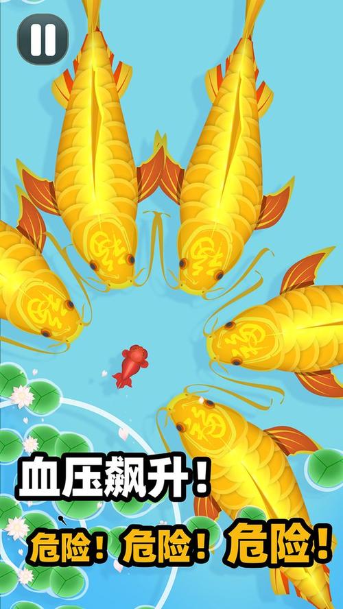 锦鲤刷刷短视频v1.0