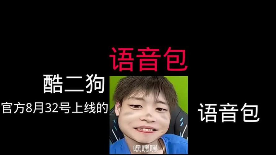 酷二狗美化包下载1.72.00