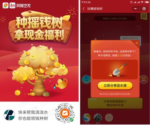 发财树视频赚零花钱