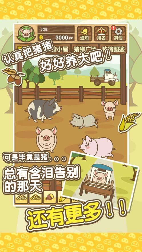 旺旺养猪场官网版下载
