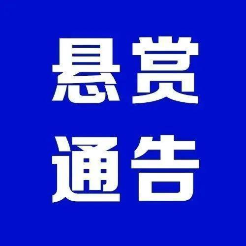 高额悬赏