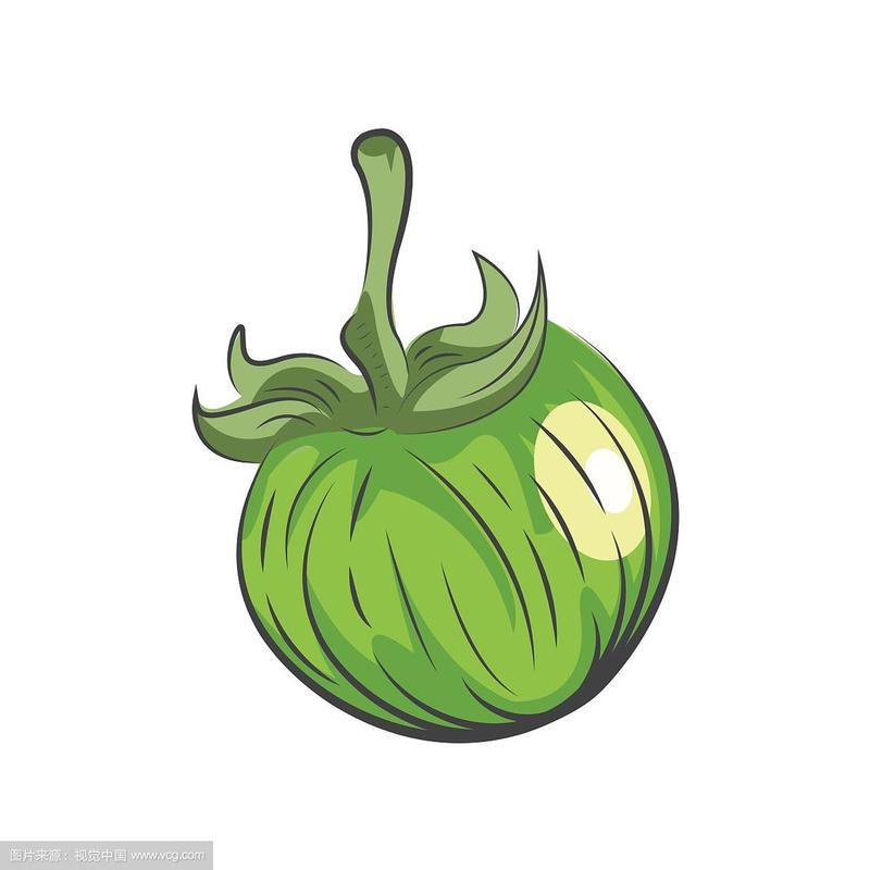 绿番茄科技有限公司
