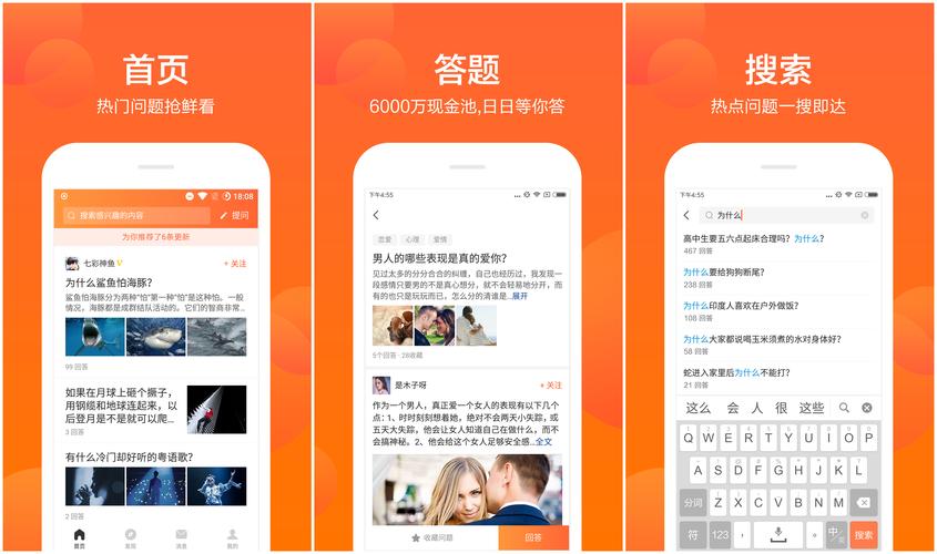 芝麻问答app最新版图标