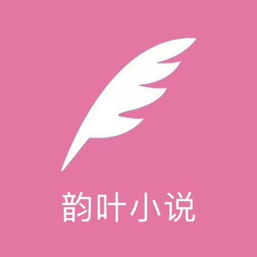 韵叶小说