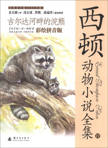 浣熊小说