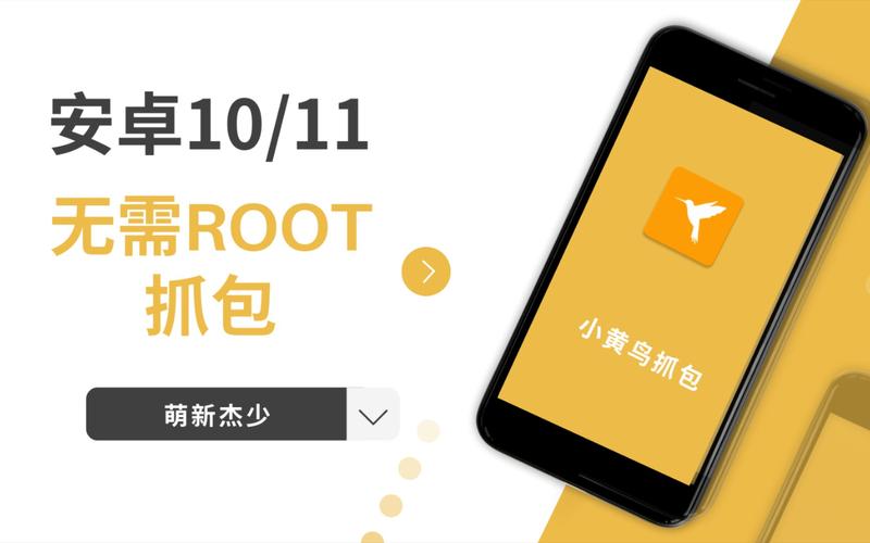 抓包软件小黄鸟修改充值教程