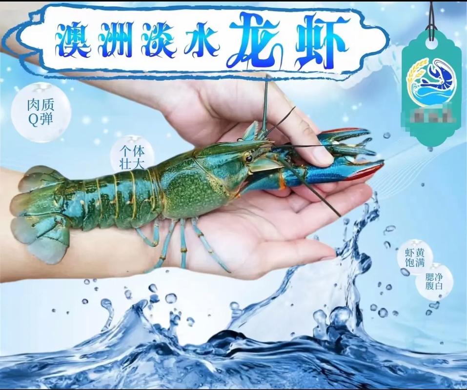 蓝龙美化包(蓝龙)