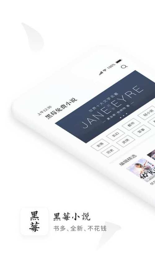 黑莓小说旧版v3.8