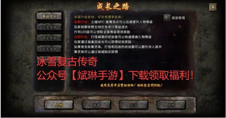 冰雪复古 辅助