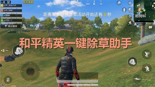 和平精英除草辅助2020版