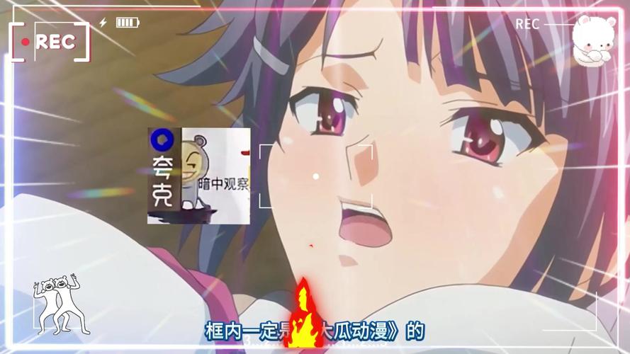 51动漫最新官方版