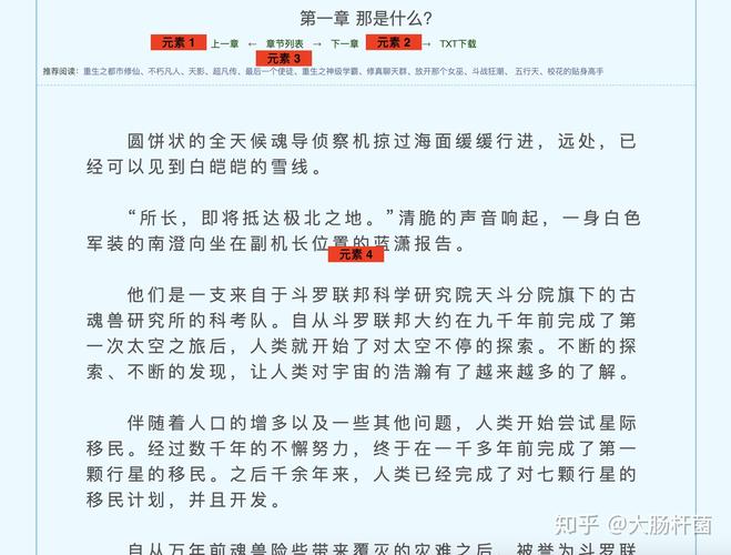 不可以小说解析