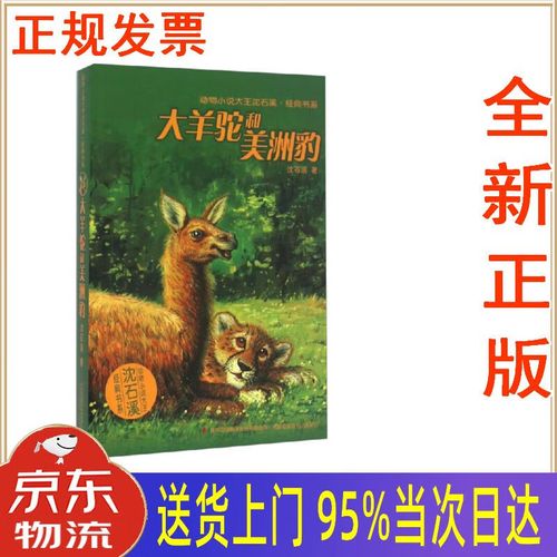 羊驼免费小说