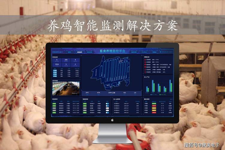 智慧养鸡管理系统