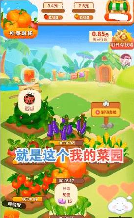 金色菜园赚钱版下载