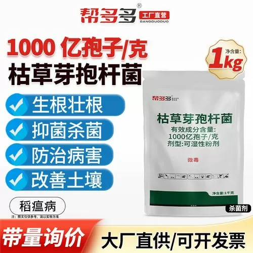 帮多多联盟app下载