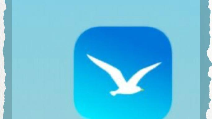 海鸥加速器官方版APP