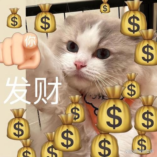 开心旺财