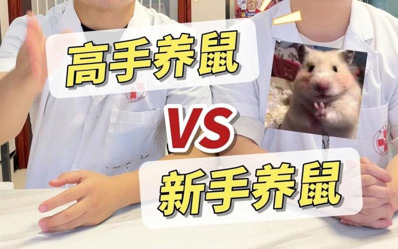 养鼠达人
