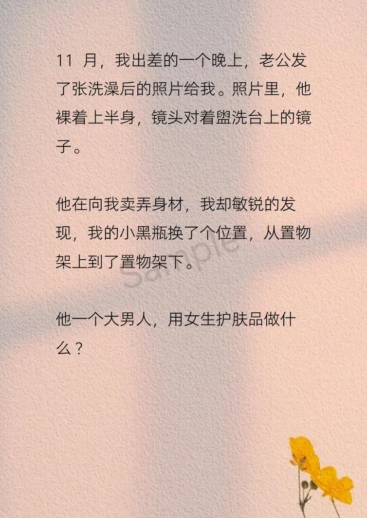 我的免费小说