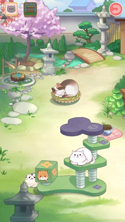 猫屋日记抽手机版