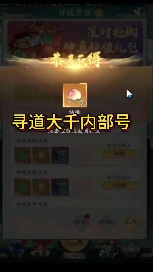 寻道大千辅助器
