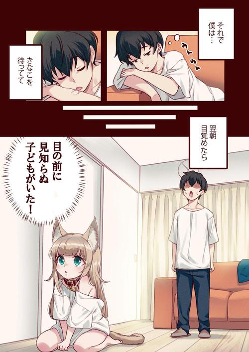 喵次元多源追番纯净版