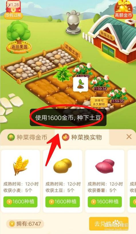 多多菜园赚钱版