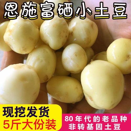 小土豆接单