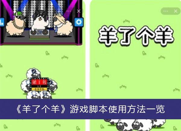 绵羊6.0脚本