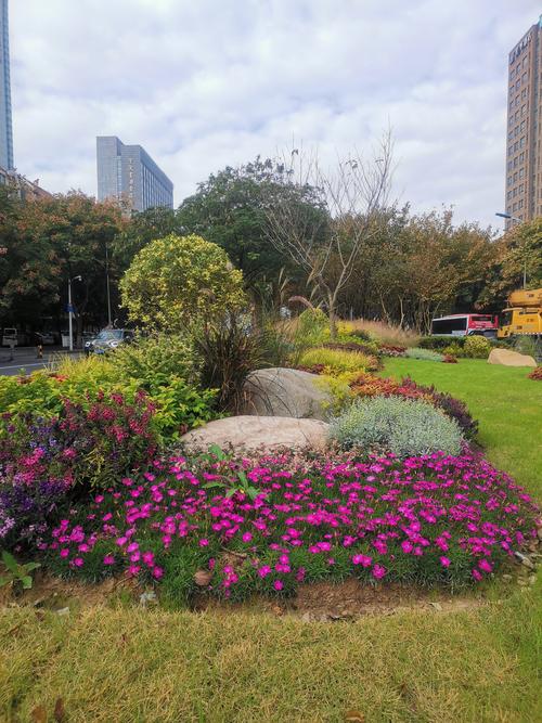 小华花圃怎么没了