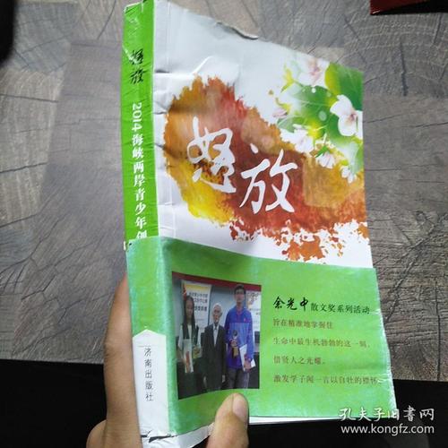 怒放小说