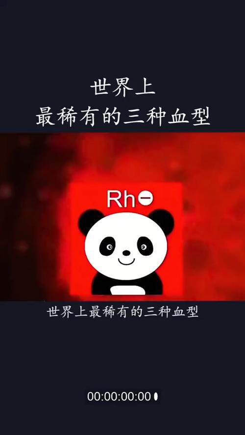 熊猫XNU截图