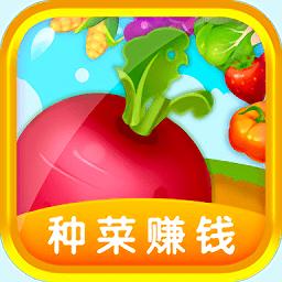 多多菜园下载