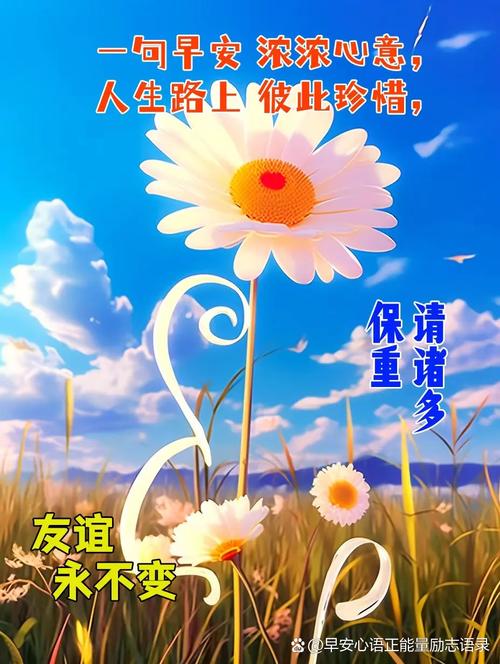 多多群下载2023