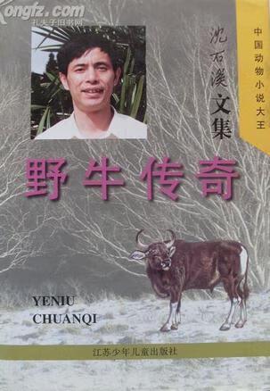 野牛阅读小说最新版本