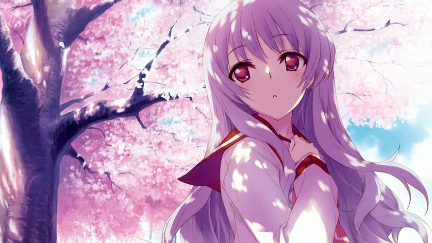 囧次元(樱花动漫)去广告