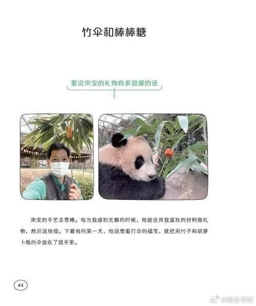 熊猫推书app下载安装最新版