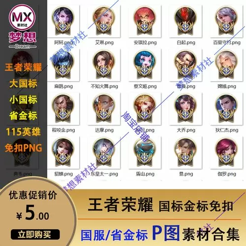 王者荣耀国标软件下载图标