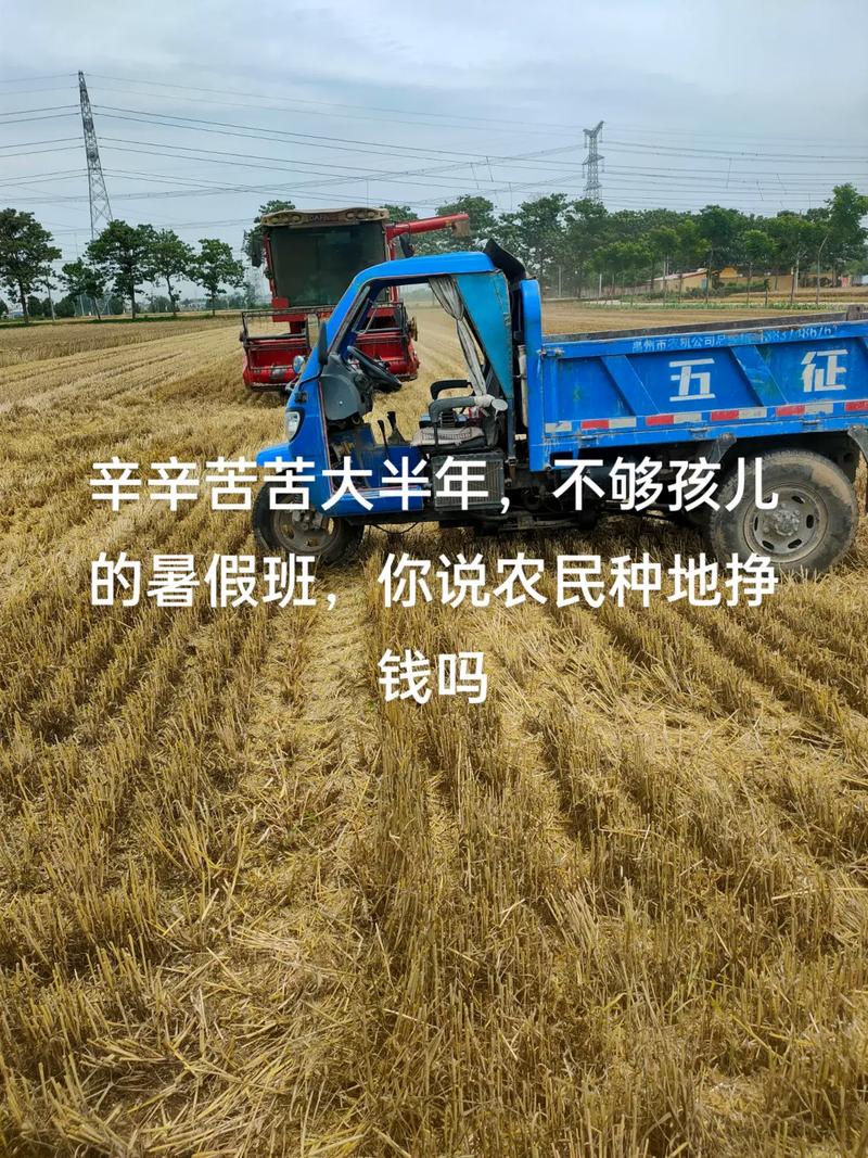 我要来种田赚钱