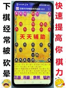 天天象棋挂机刷分软件