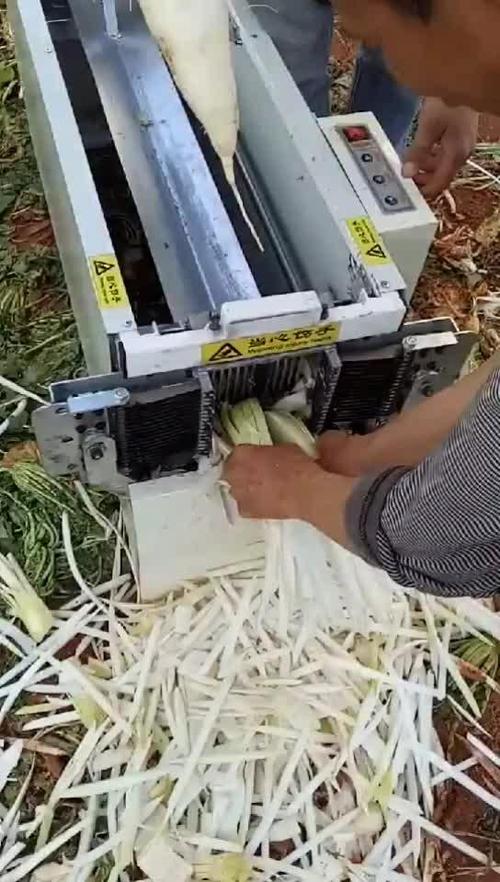 萝卜赚挂机