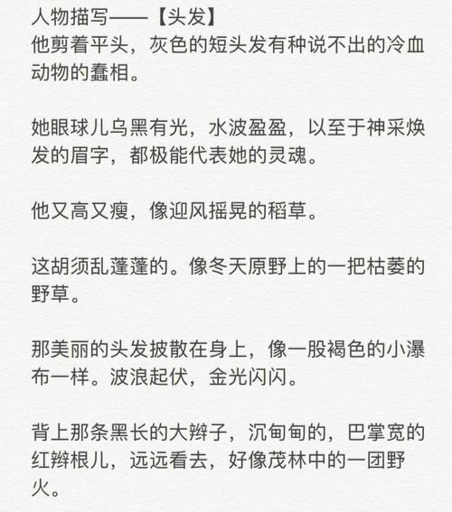 波浪小说最新版截图