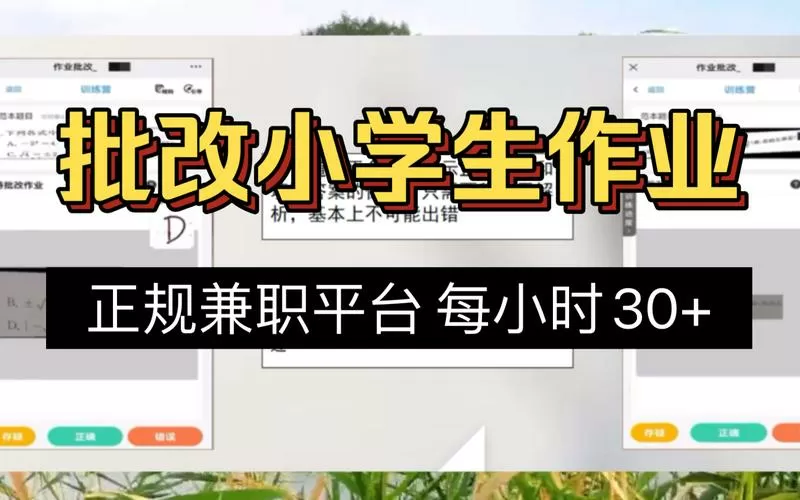 给小学生批改作业赚钱的软件
