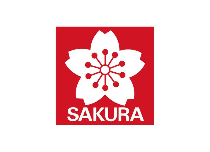 蓝风樱花