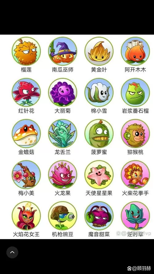 pvz所有版本合集